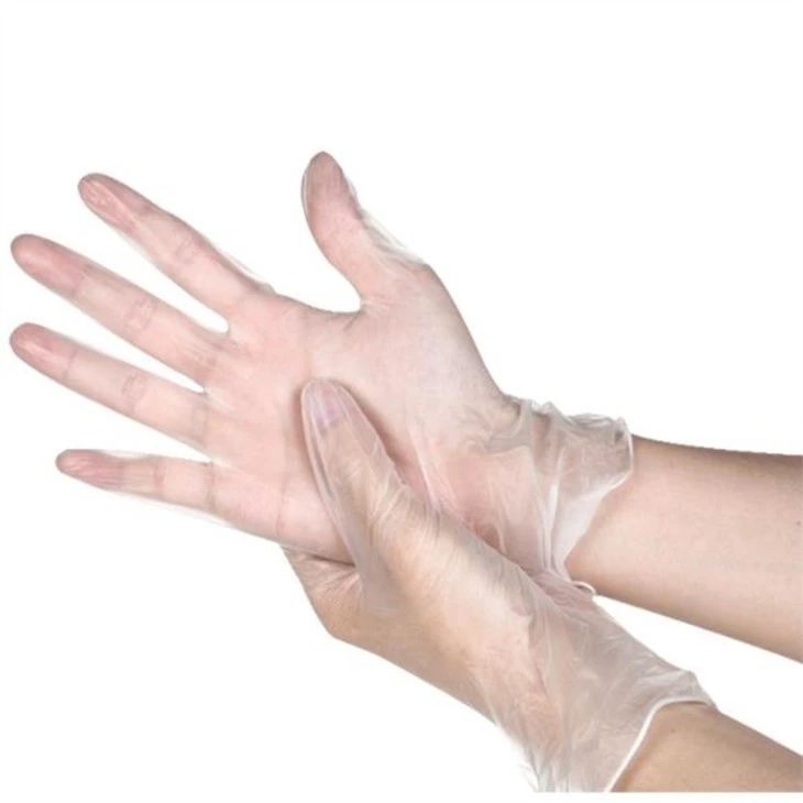 Vinyl Gloves