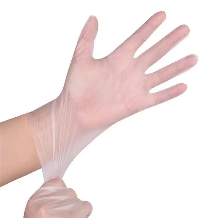 Vinyl Gloves